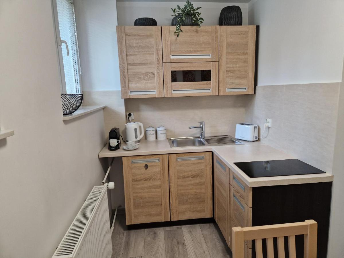 Apartament W Srodmiesciu Санок Екстериор снимка